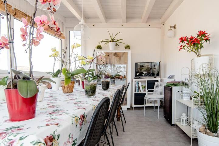 Il Piccolo Attico Bed and Breakfast Caltagirone Eksteriør billede