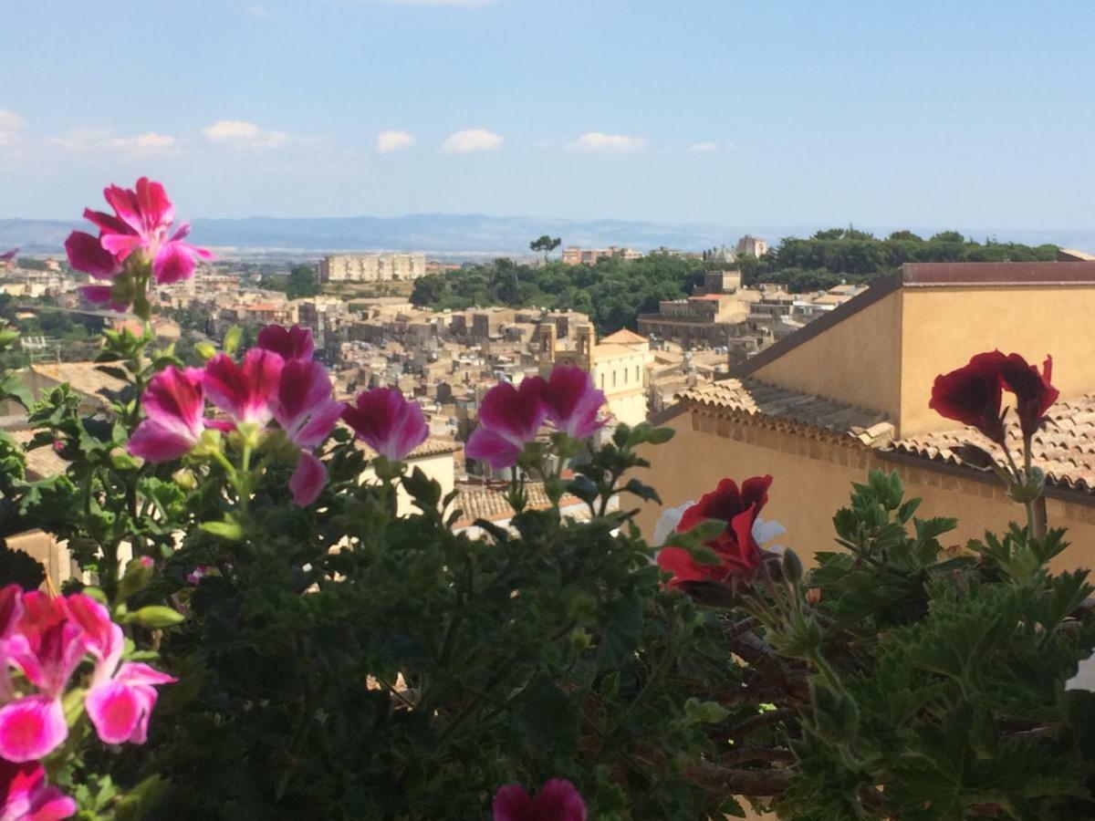 Il Piccolo Attico Bed and Breakfast Caltagirone Eksteriør billede